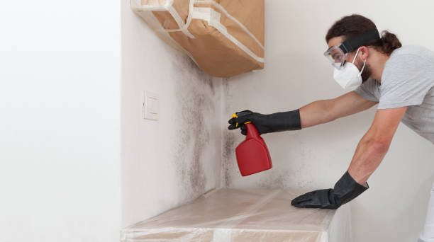 Attic Mold Remediation treatment on roof deck in East Jordan